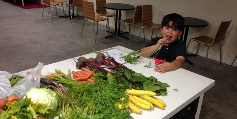 FFAH is committed to bringing fresh food to our communities!